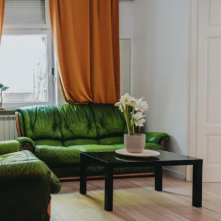 Apartment Salon In Dorcol Historical