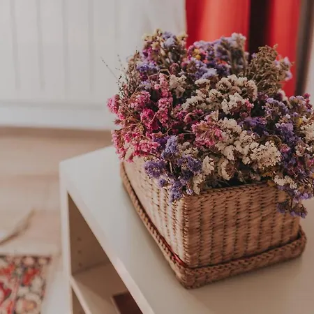 Bglab Salon Διαμέρισμα Βελιγράδι